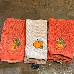 3for1 excellent condition Thanksgiving hand towels!